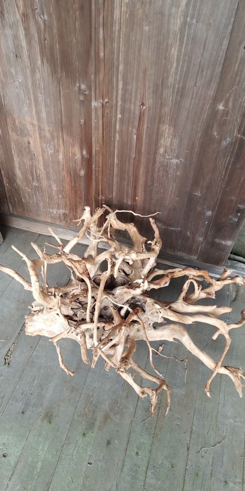 鱼缸沉木杜鹃根