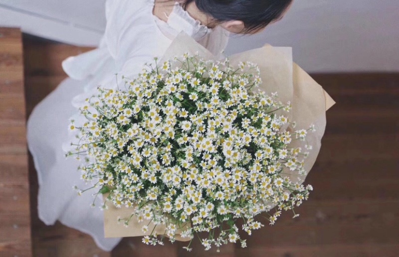 洋甘菊鲜切花云南鲜花基地直发小雏菊鲜花菊花批发包邮