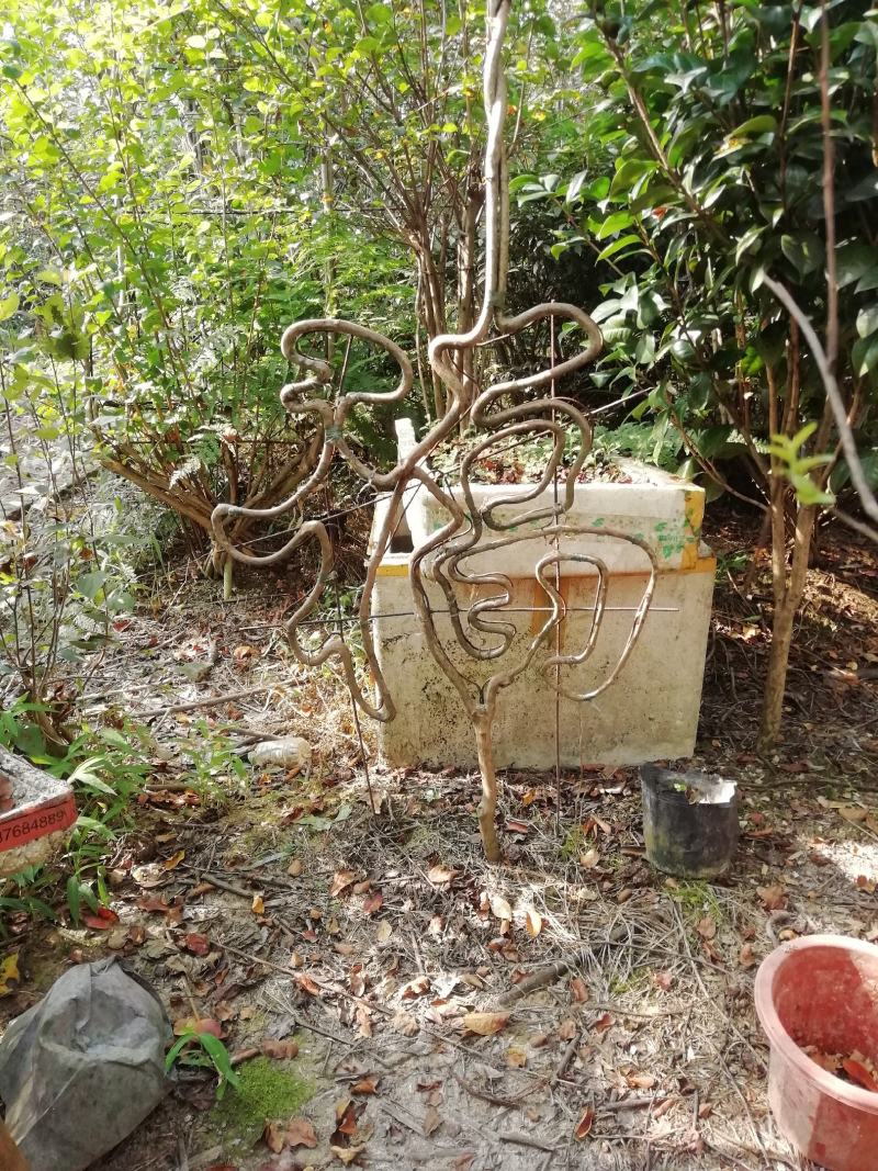 金弹子盆景造型（模子），工艺字，绿化苗木造型模具架子