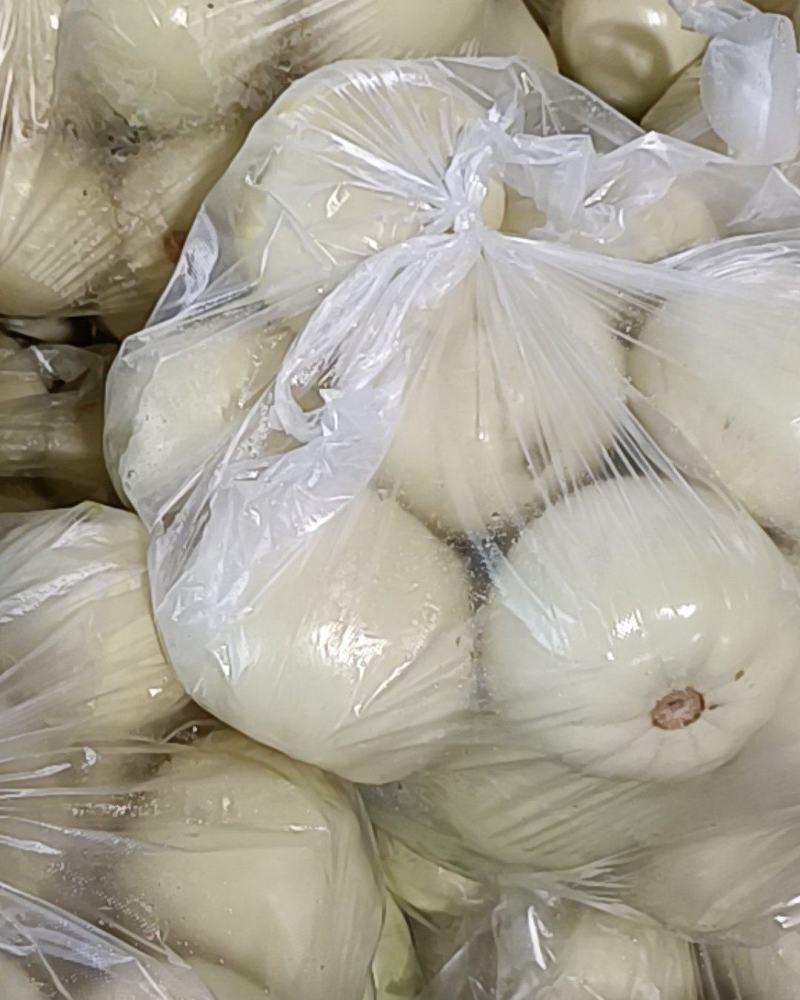 精品美浓香瓜大量上市
