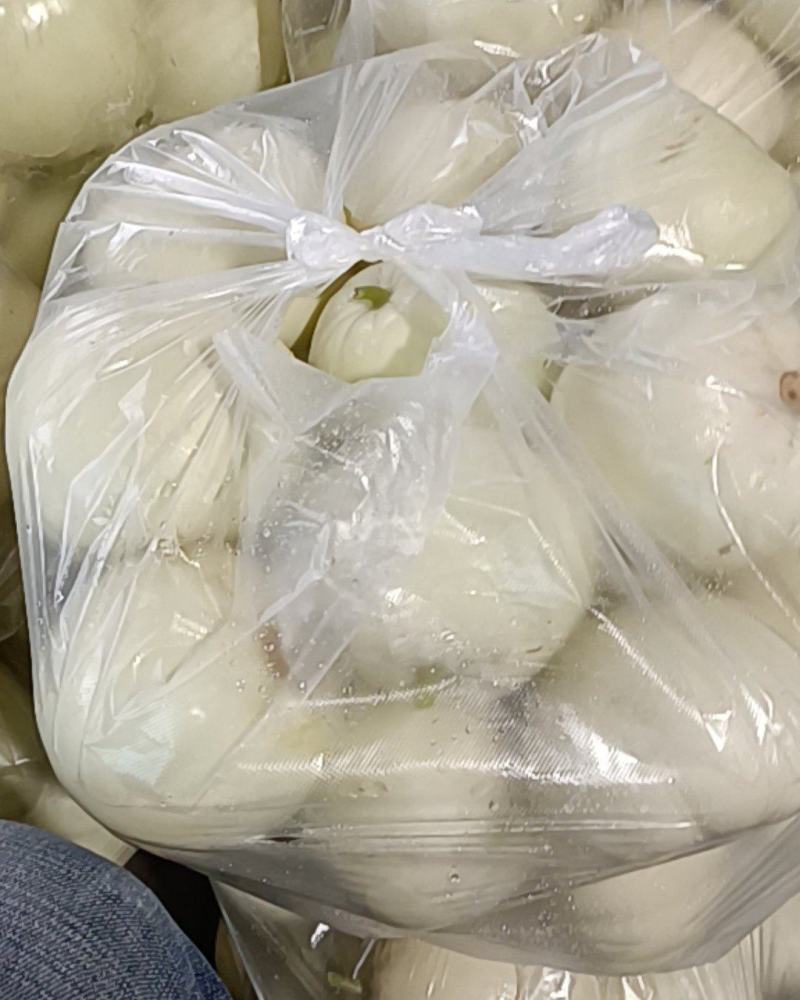 精品美浓香瓜大量上市