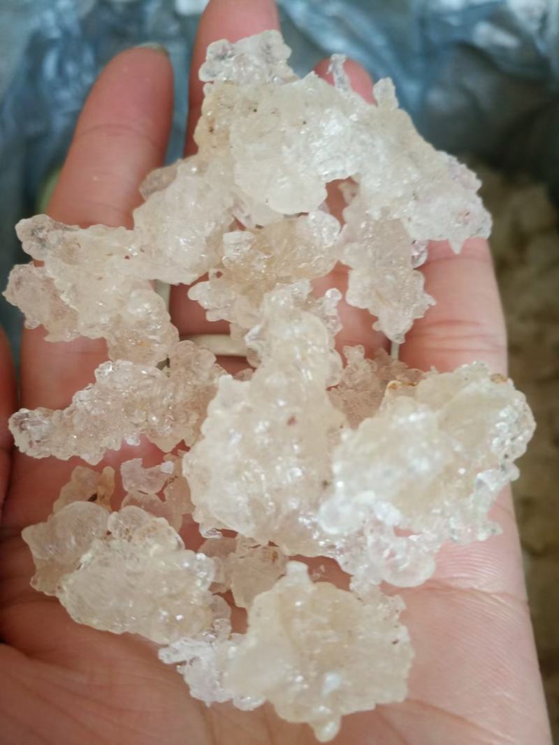 雪燕-缅甸拉丝雪燕-产地直发-一手货源-一件代发