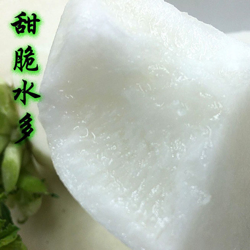 湖北高山精品大白萝卜皮薄脆甜基地直供货源充足