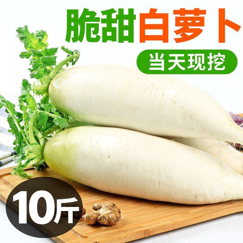 湖北高山精品大白萝卜皮薄脆甜基地直供货源充足