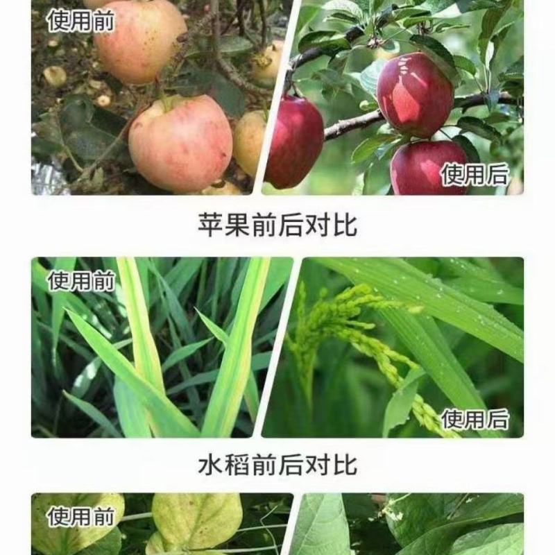 镁钙硅微量元素水溶肥，河北省邯郸市源沃肥业科技有限公司