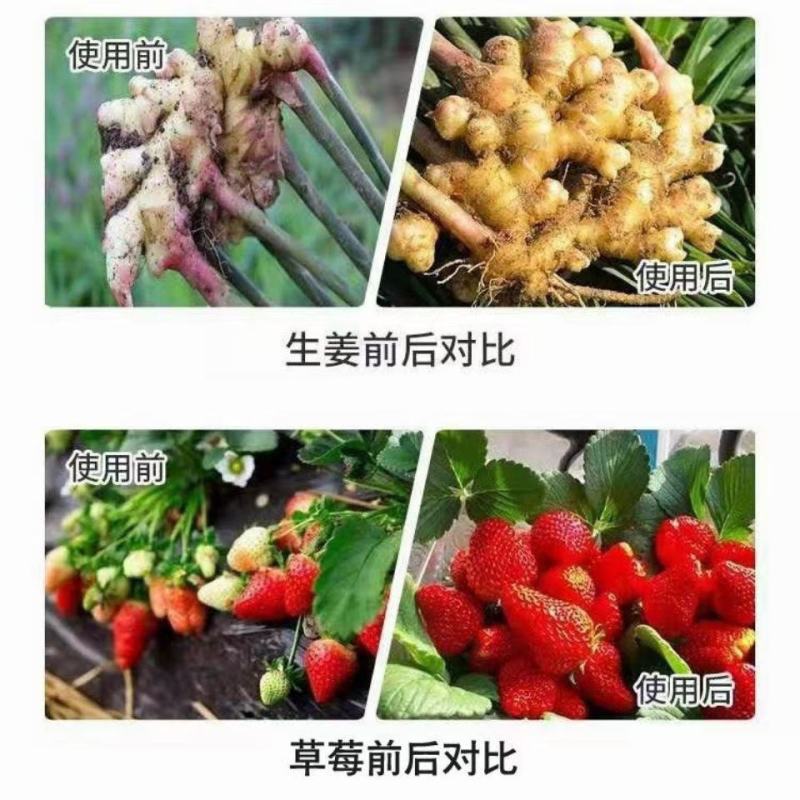 镁钙硅微量元素水溶肥，河北省邯郸市源沃肥业科技有限公司