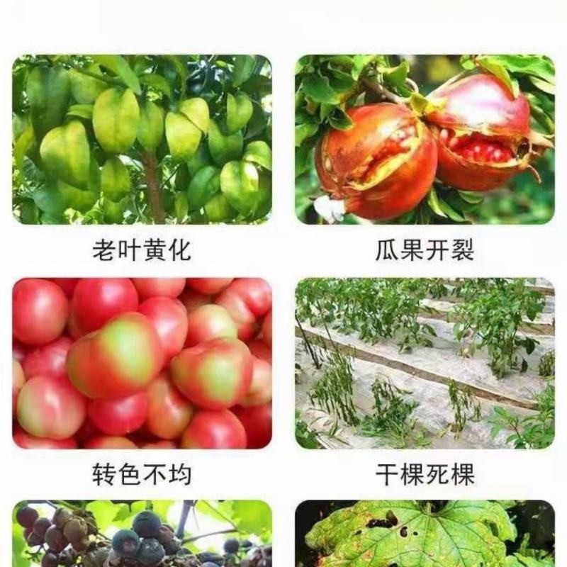 镁钙硅微量元素水溶肥，河北省邯郸市源沃肥业科技有限公司