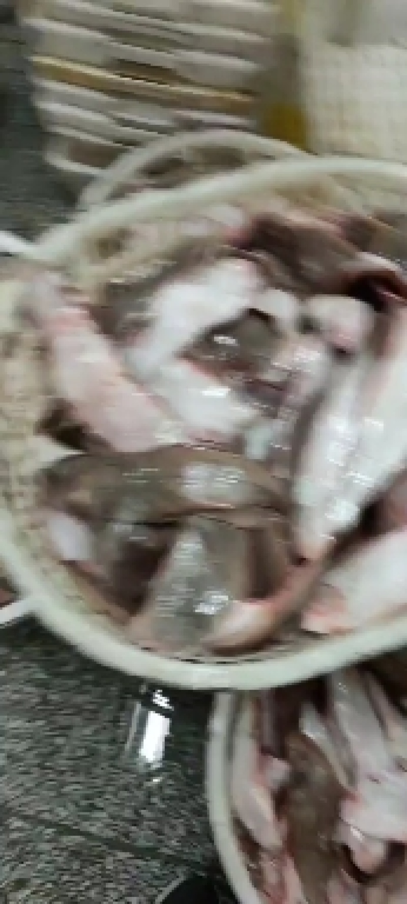 舌头鱼，踏板鱼，鞋垫子鱼，龙利鱼，玉兔鱼