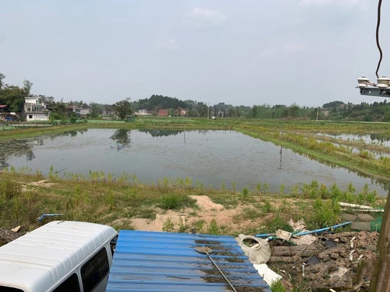 120亩虾塘转让，水源好