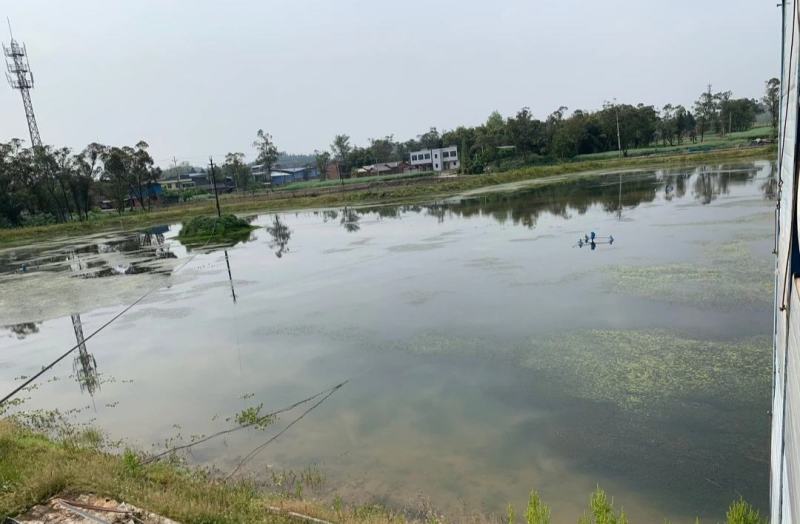 120亩虾塘转让，水源好
