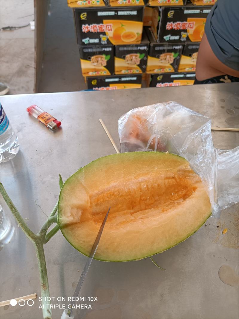 小蜜哈密瓜，陆地光照时间长，昼夜温差大特甜