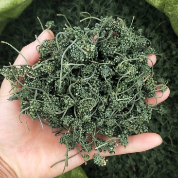 足年优质无杂西洋参花原产地批发量大从优欢迎选购