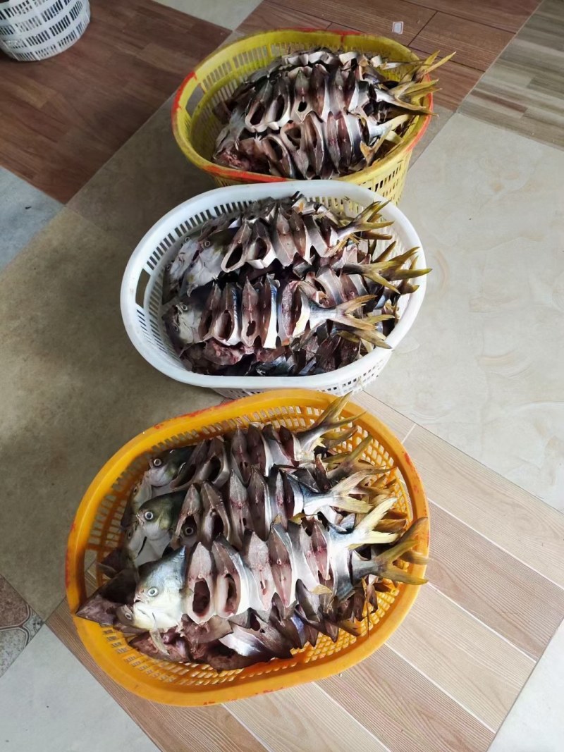 金鲳鱼干
