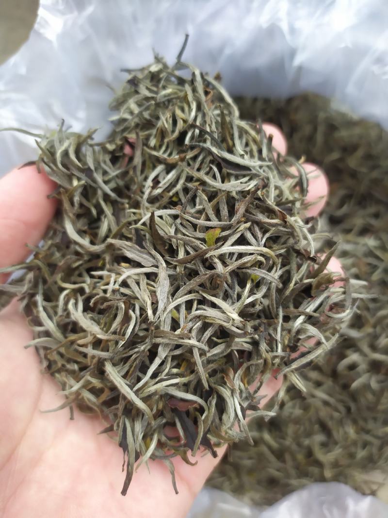 茶叶白牡丹茶叶绿茶新茶白茶毛尖浓香白毫银针50克