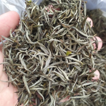 茶叶白牡丹茶叶绿茶新茶白茶毛尖浓香白毫银针50克
