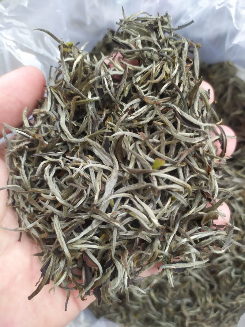 茶叶白牡丹茶叶绿茶新茶白茶毛尖浓香白毫银针50克