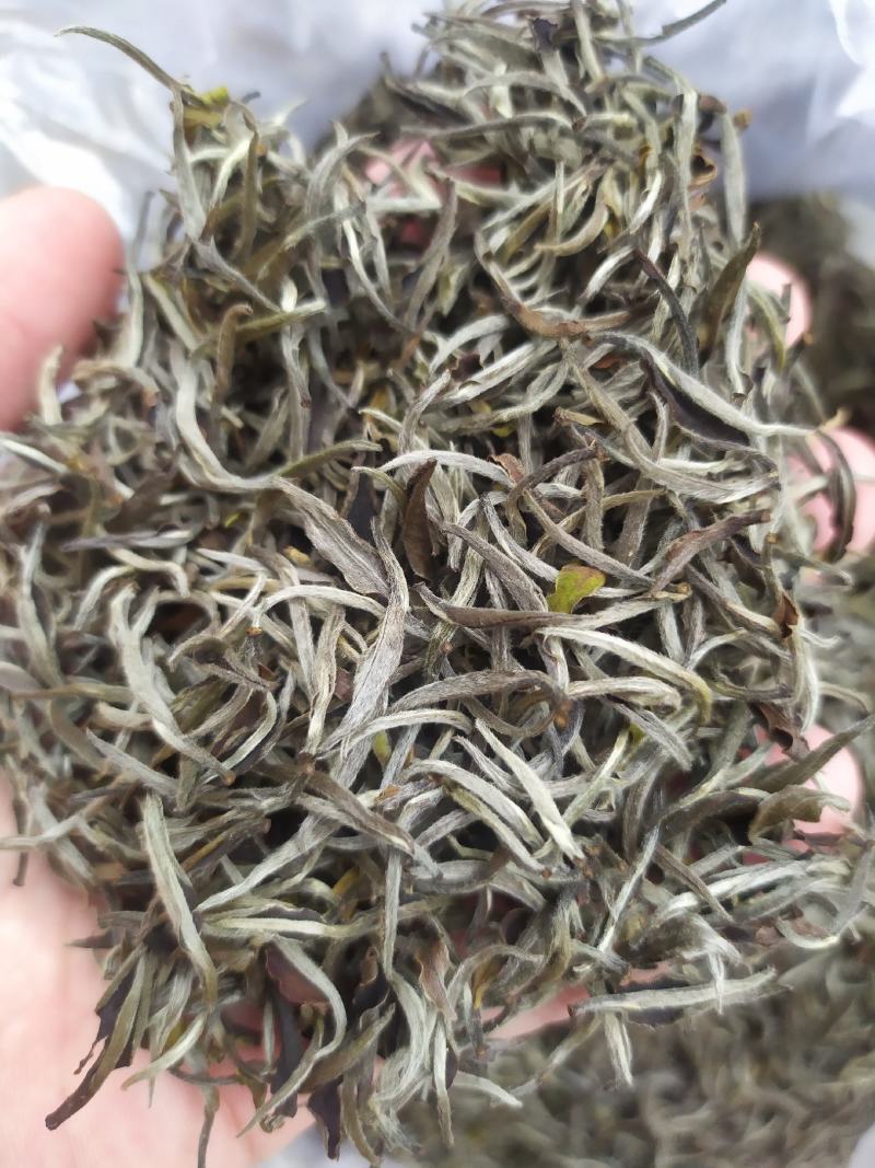 茶叶白牡丹茶叶绿茶新茶白茶毛尖浓香白毫银针50克