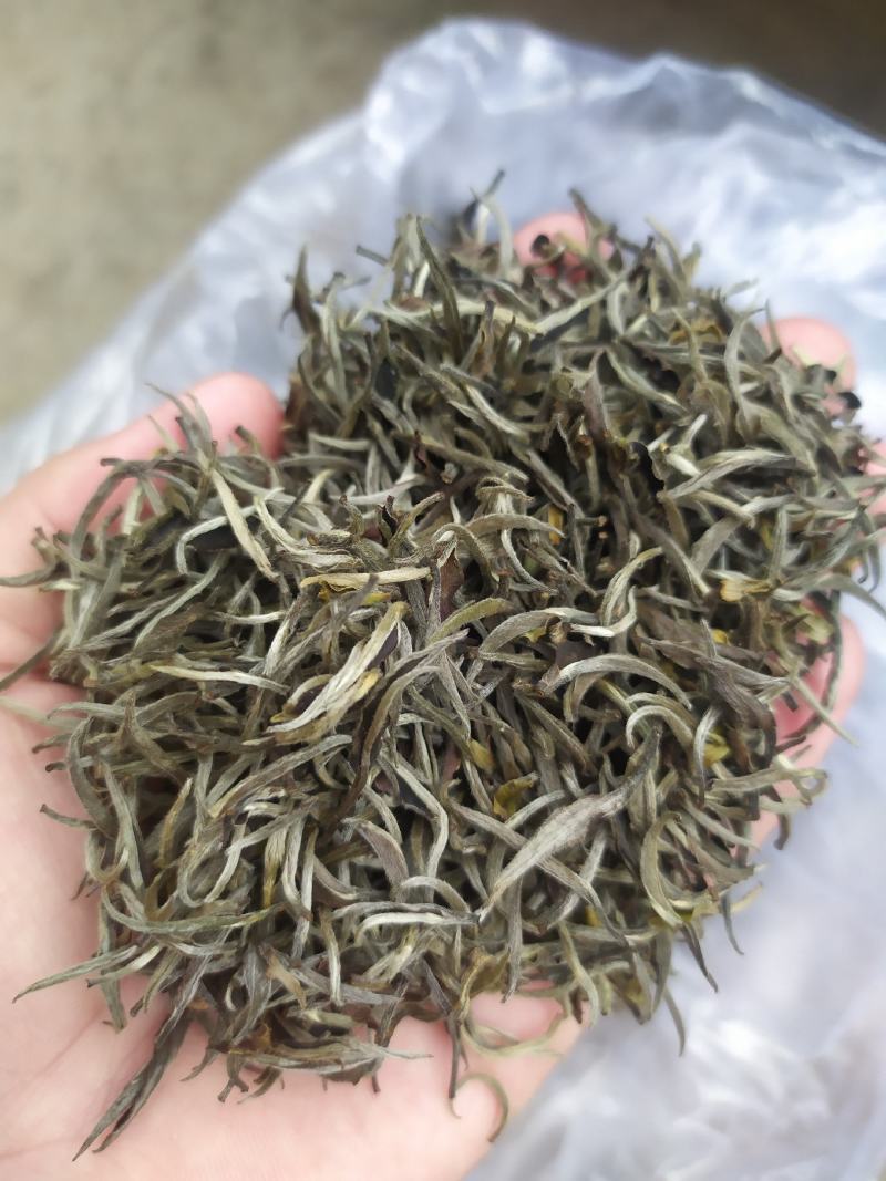 茶叶白牡丹茶叶绿茶新茶白茶毛尖浓香白毫银针50克