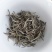 茶叶白牡丹茶叶绿茶新茶白茶毛尖浓香白毫银针50克