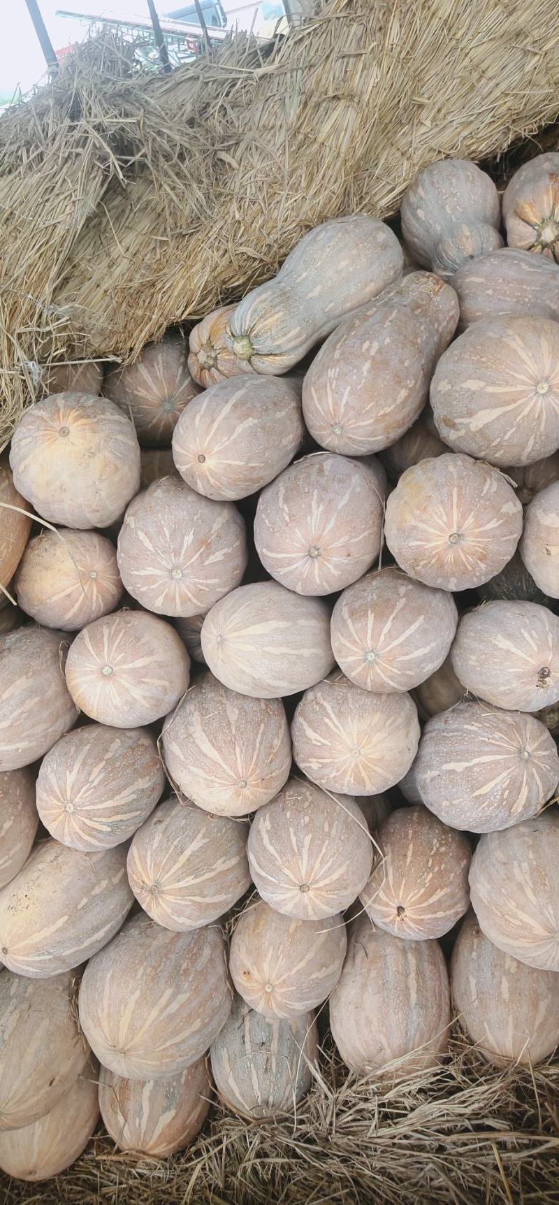 金韩瓜，质量好