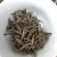 白茶春茶白毫银针白牡丹茶罐装高山荒野茶叶50克茶