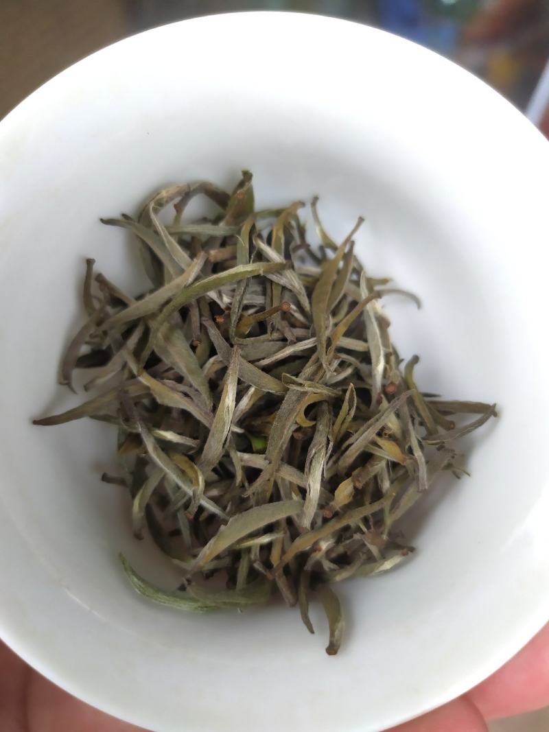 白茶春茶白毫银针白牡丹茶罐装高山荒野茶叶50克茶