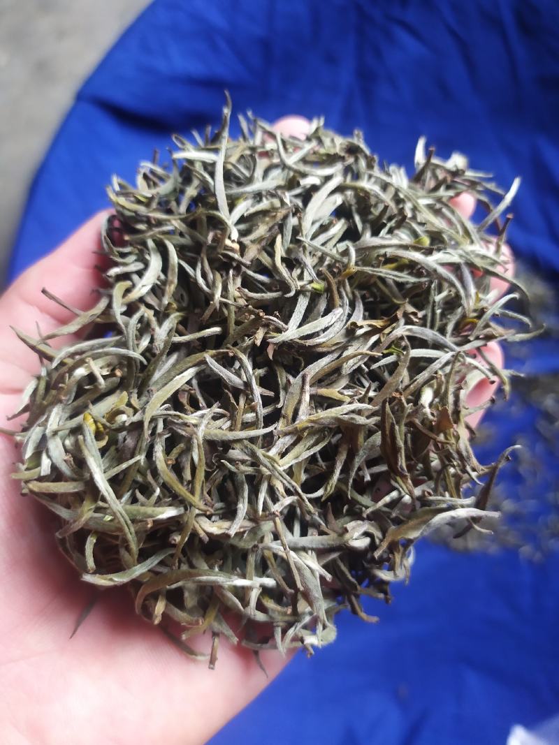 白茶春茶白毫银针白牡丹茶罐装高山荒野茶叶50克茶