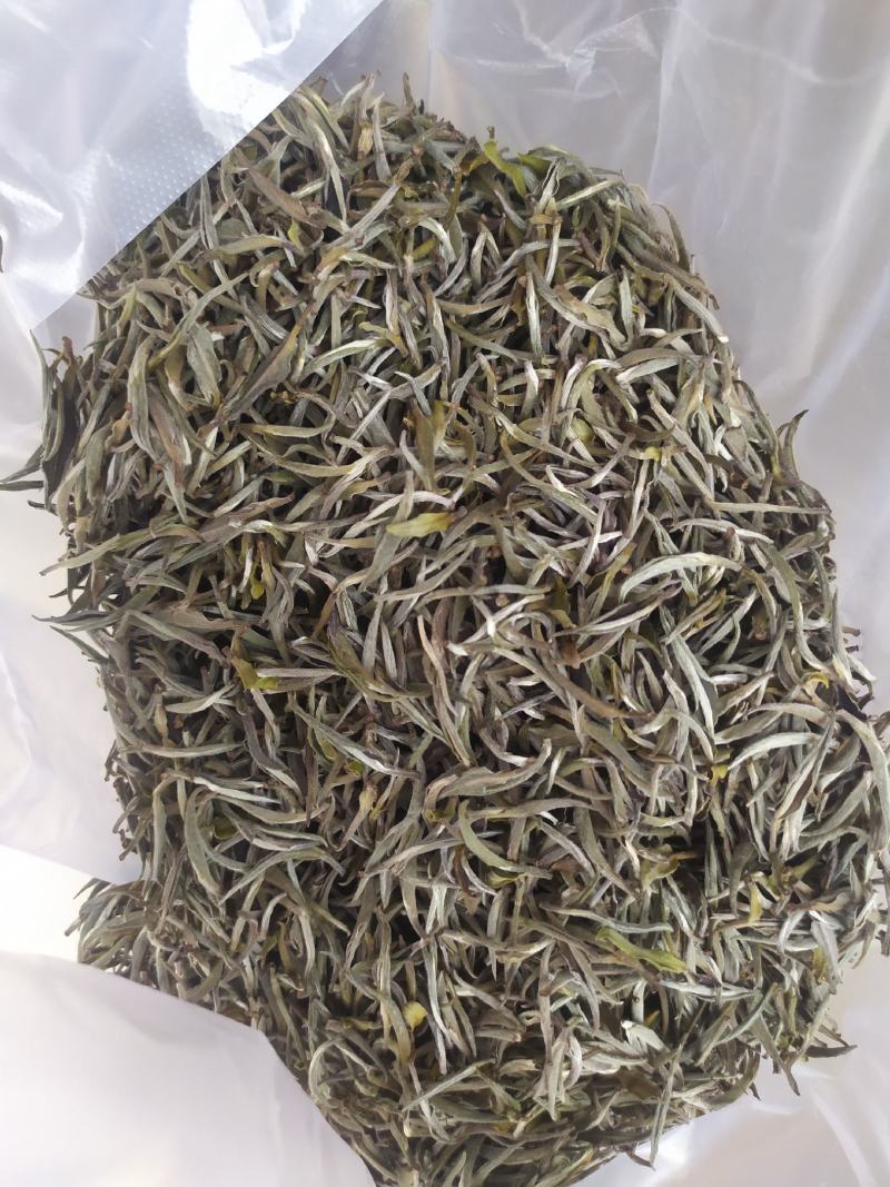 白茶春茶白毫银针白牡丹茶罐装高山荒野茶叶50克茶