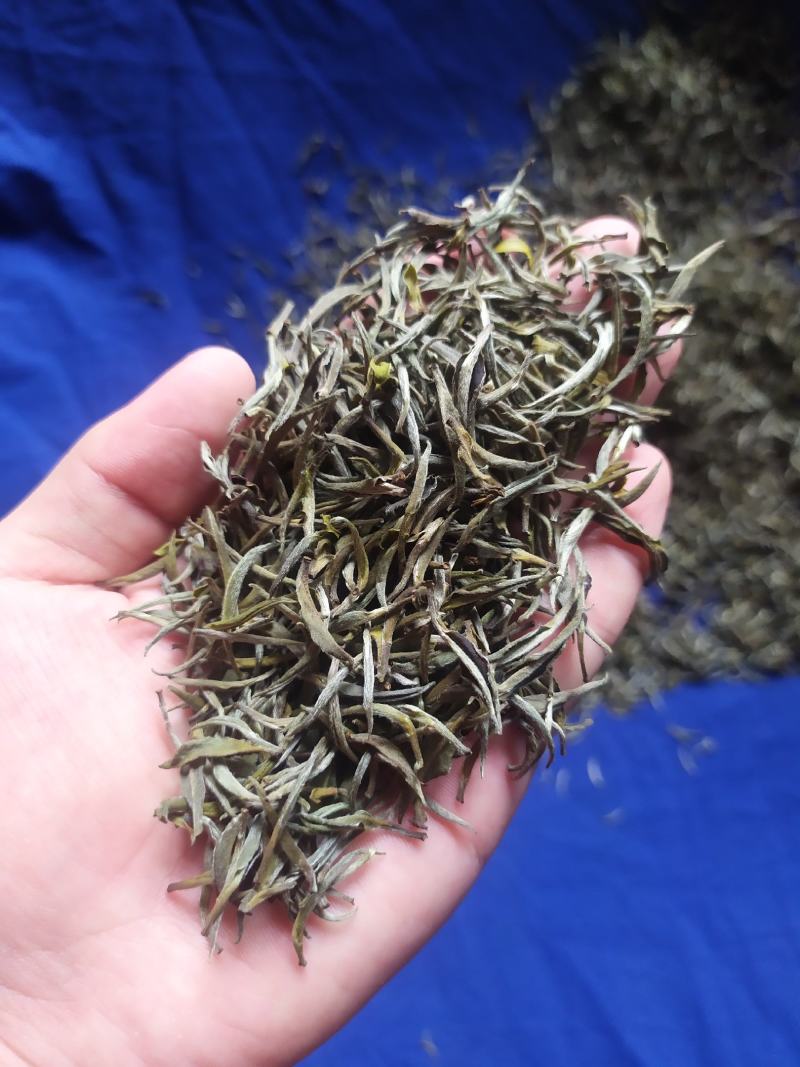 白茶春茶白毫银针白牡丹茶罐装高山荒野茶叶50克茶