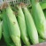 玉米棒大量共应需要连系