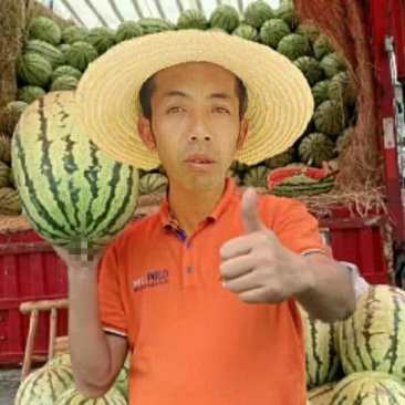 石头硒砂瓜大量供货中