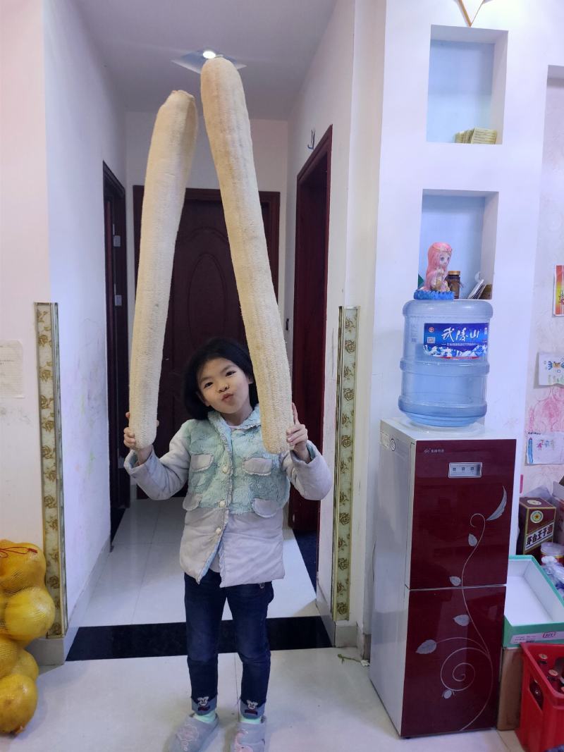 本公司大丝瓜给
