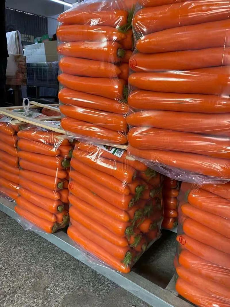 三红胡萝卜广红胡萝卜，鲜货水洗袋装3两起步供应电商