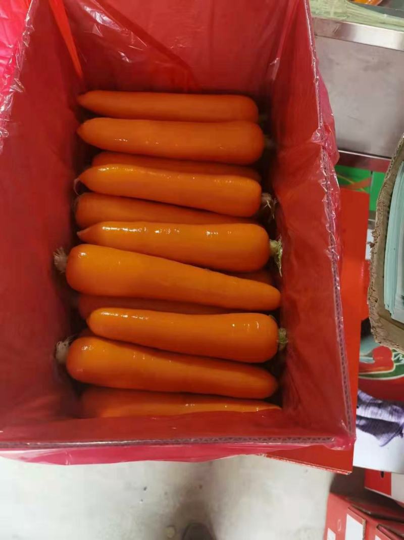 三红胡萝卜广红胡萝卜，鲜货水洗袋装3两起步供应电商