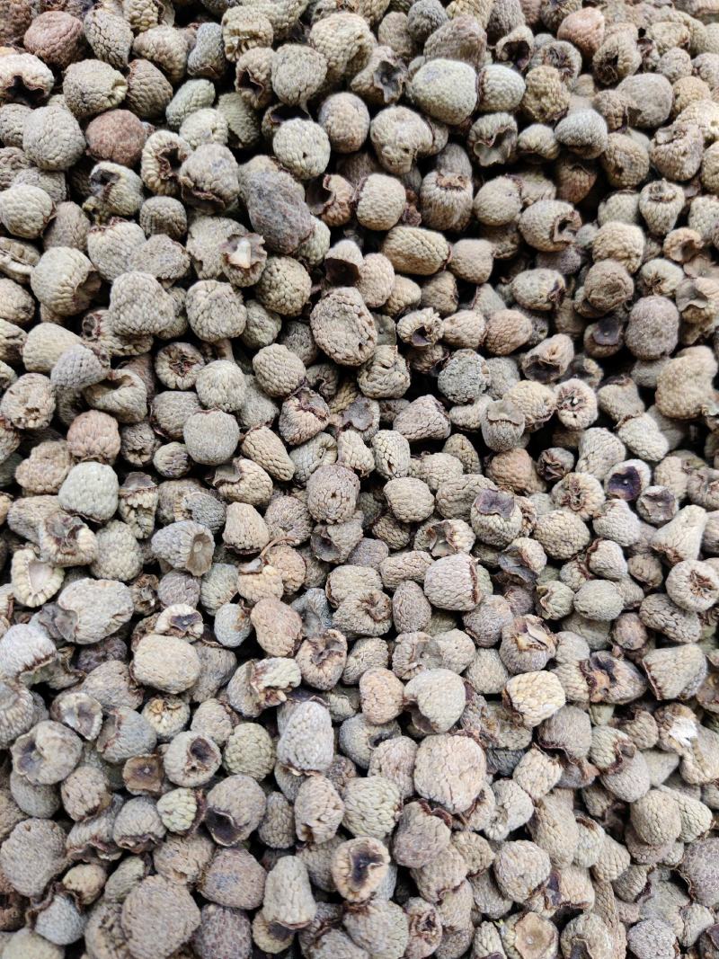 覆盘子中药材覆盘子实物拍摄质量保证手选无硫