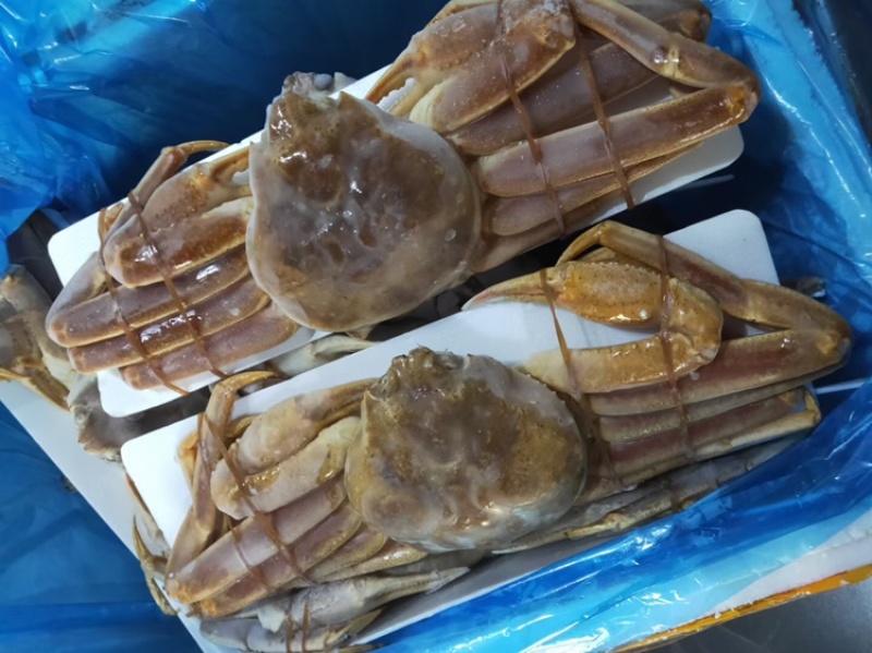 生冻整只板蟹、鲜度一极棒、一手货源、全国可发货。