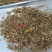 春夏播纯新当归种子散装中草药材种子岷县当归种子欧当归种子