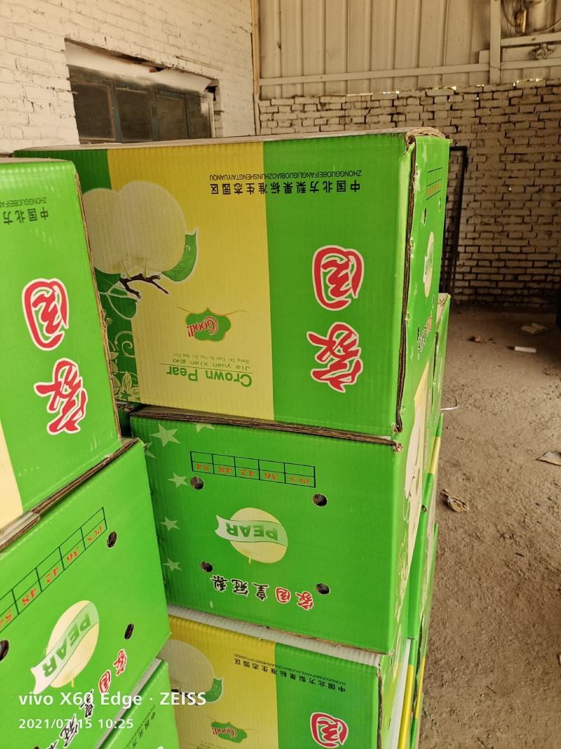 河北精品皇冠梨，果园直采直供，货源充足质量好，供货全国