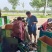河北精品皇冠梨，果园直采直供，货源充足质量好，供货全国