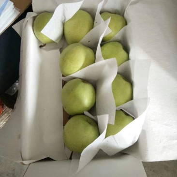 【金花梨】汉源金花梨大量上市，可视频看货。产地实力代办。