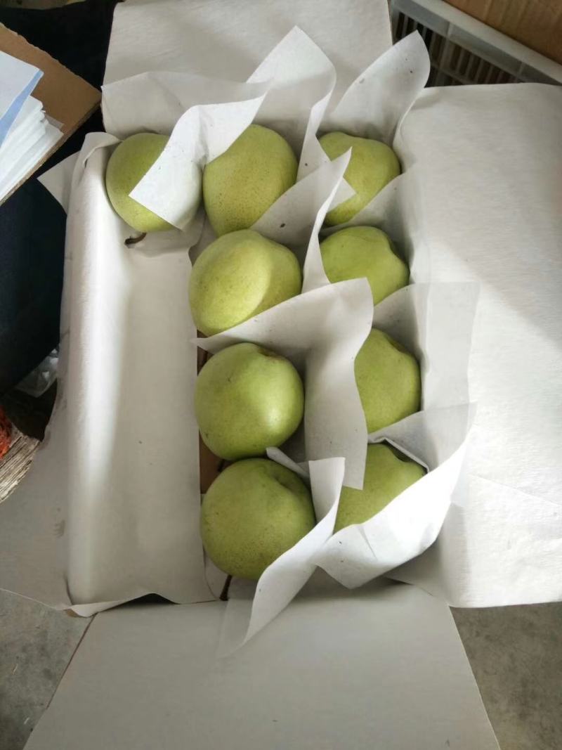 【金花梨】汉源金花梨大量上市，可视频看货。产地实力代办。