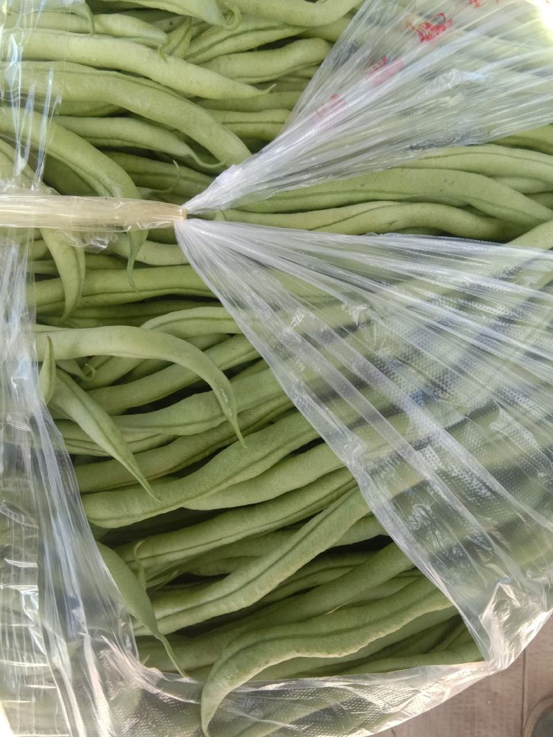 无丝豆马上要上市了，有豆王，白友谊，锅里变，等