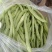无丝豆马上要上市了，有豆王，白友谊，锅里变，等