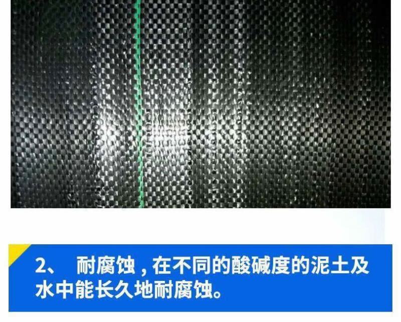 打孔防草除草布农用耐用果园生态园艺地布耐磨单张抗老化果树