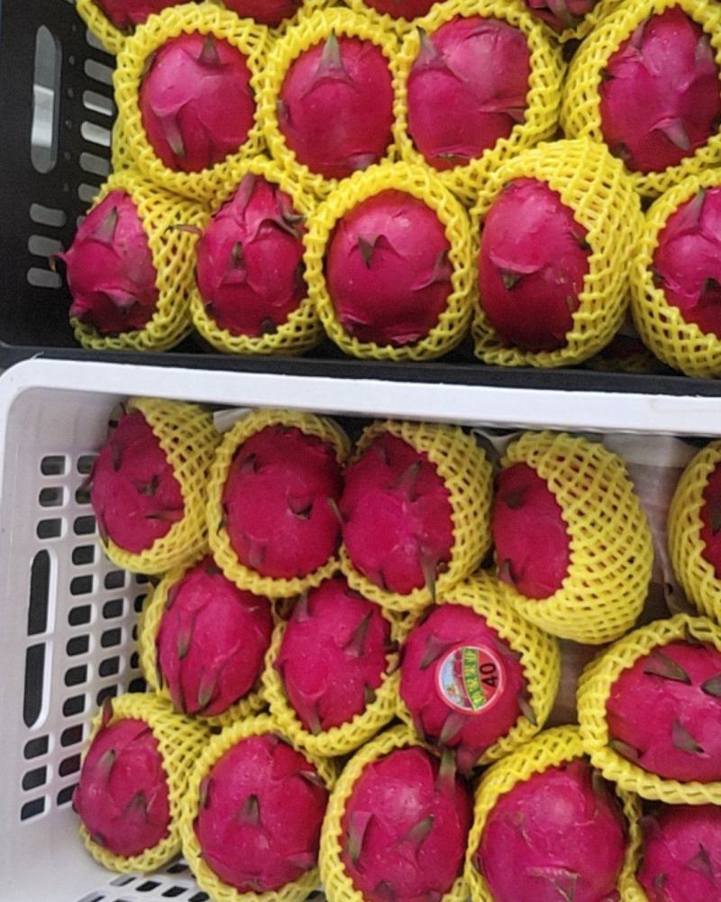 蜜宝，绣球，火龙果