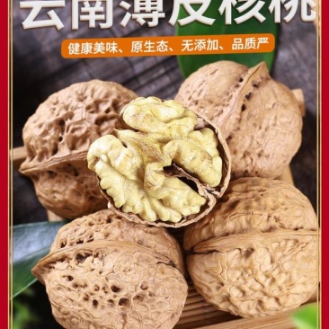 农伯惠云商直供展销会赶大火爆模式云南新鲜核桃薄壳干核桃