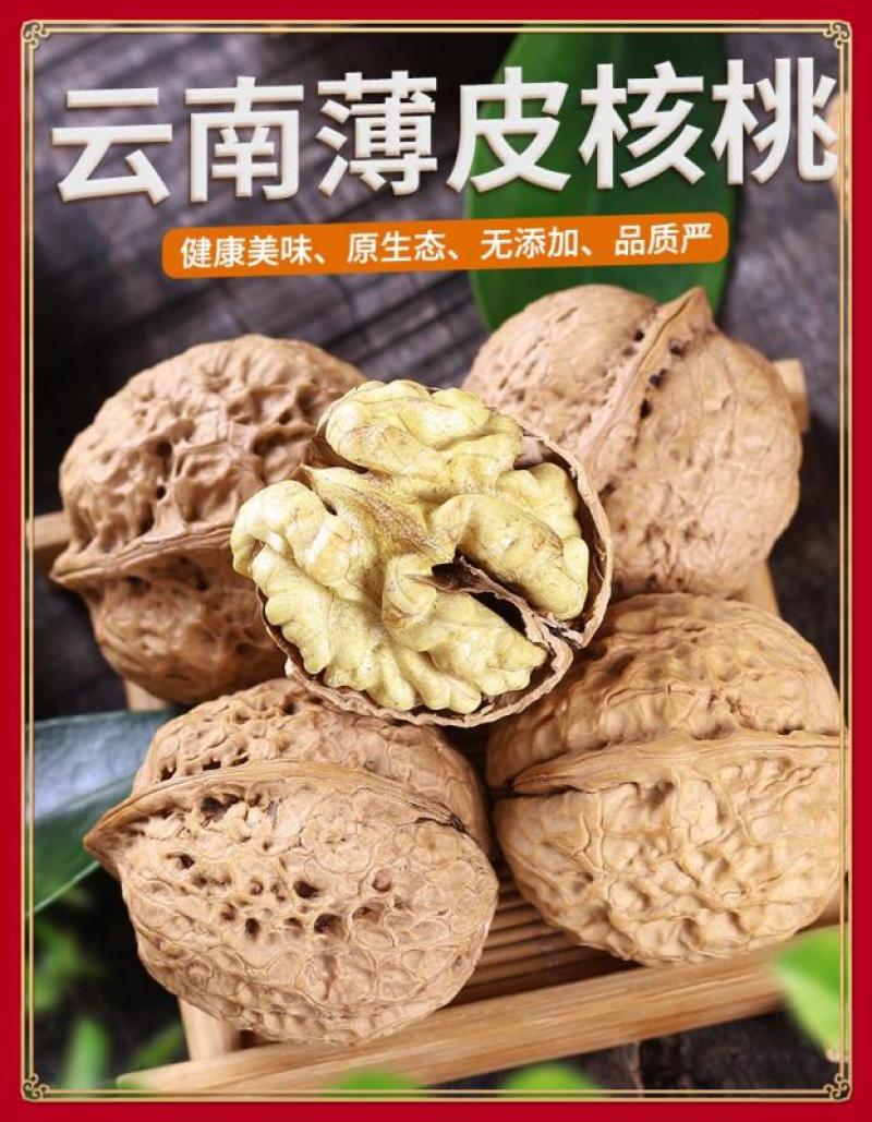 农伯惠云商直供展销会赶大火爆模式云南新鲜核桃薄壳干核桃