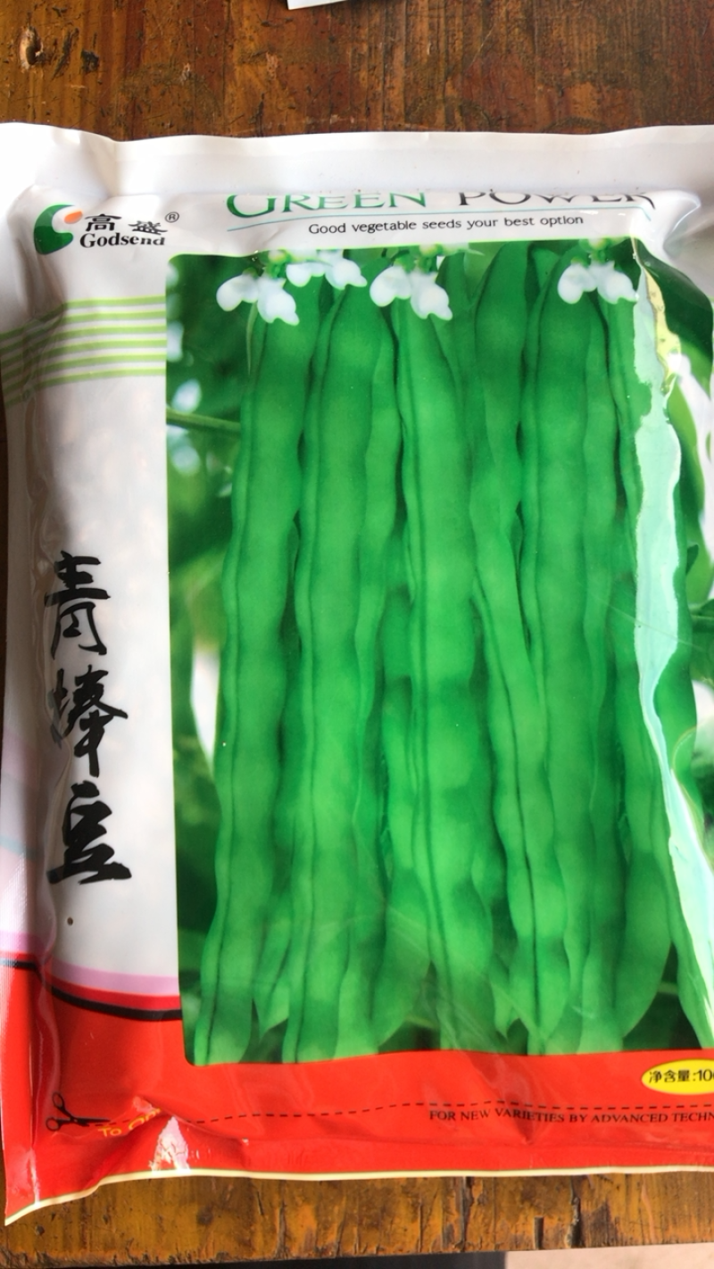 人工挑选高纯度青棒豆种子