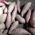 紫薯紫罗兰支持一件代发产地直供保质保量