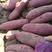 龙九红薯西瓜红支持一件代发市场货各种规格